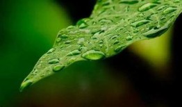 谷雨最近爆料视频,娱乐圈幕后真相大曝光！